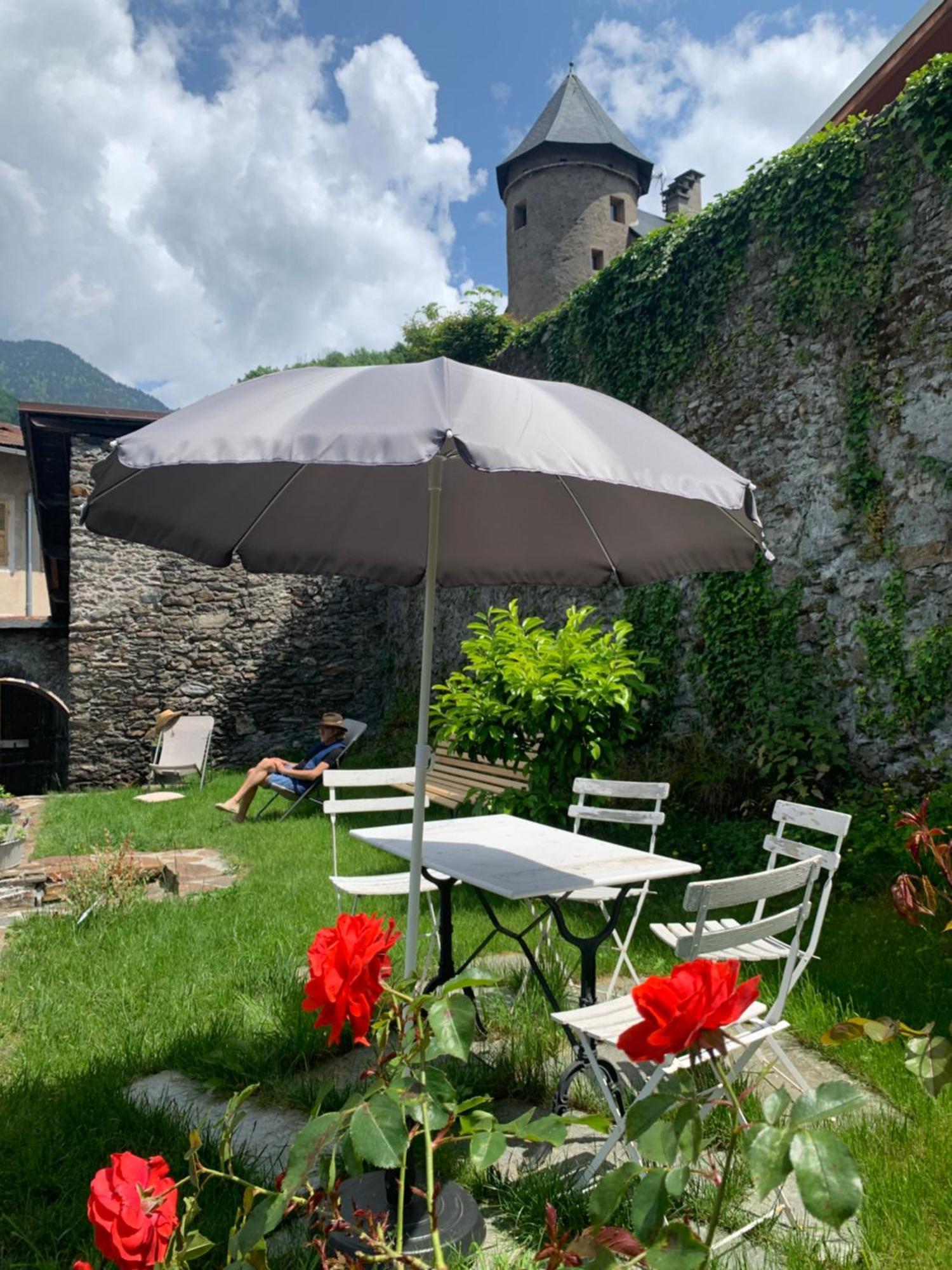 Au Cheval Blanc - Appartements Et Chambres D'Hotes Albertville Exterior foto